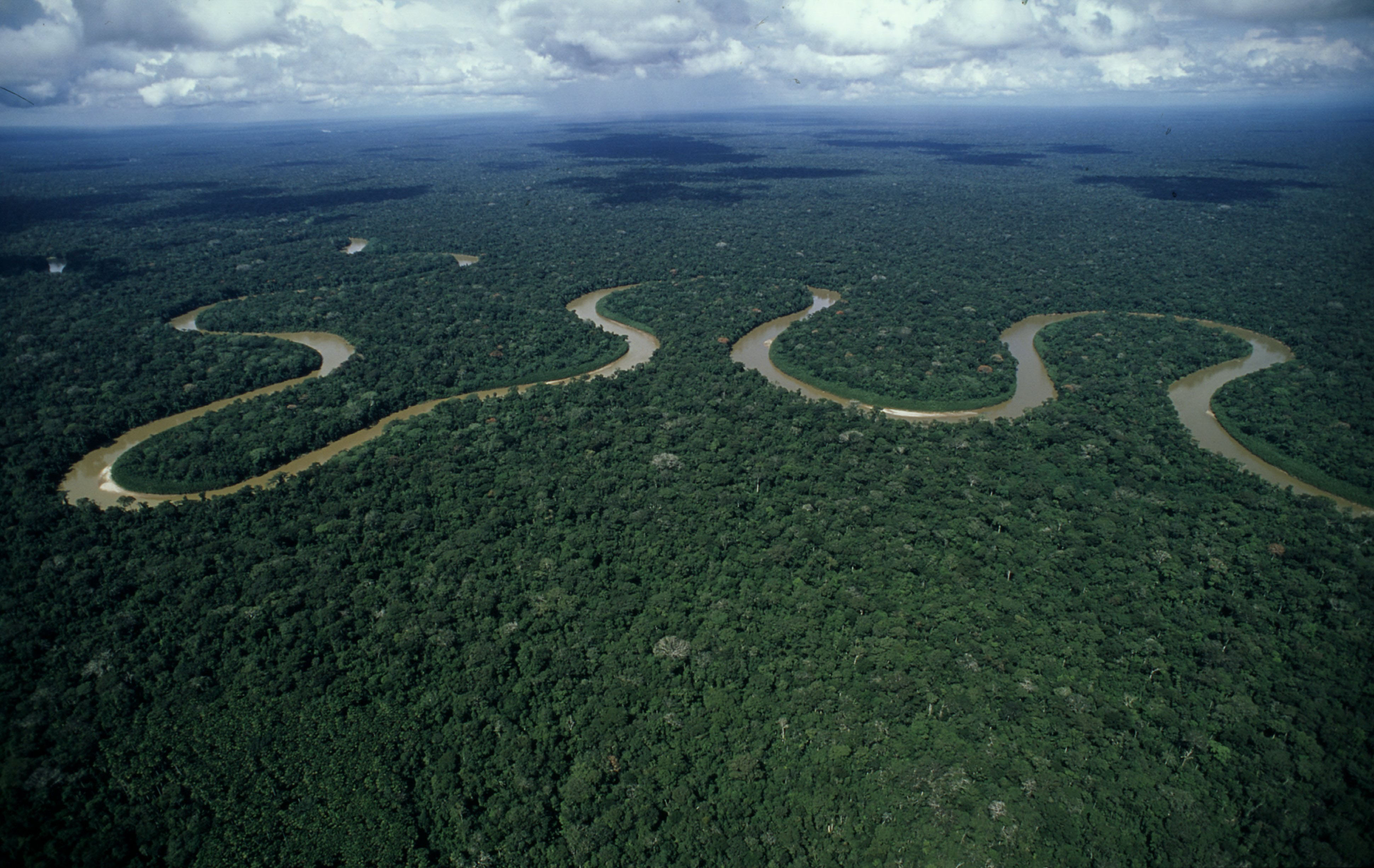 The meandering course of river Rio Pinquen, Amazon rainforest, Peru